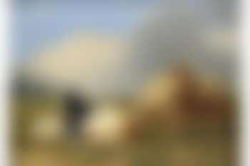 Sheep And Goats; Poultry (preview)