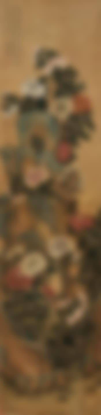 Chrysanthemum (preview)