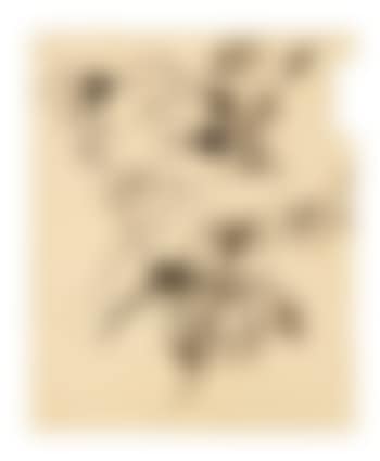 Sans titre (preview)