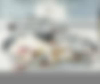 Suicide X (preview)