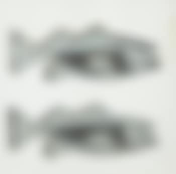 Fish (preview)