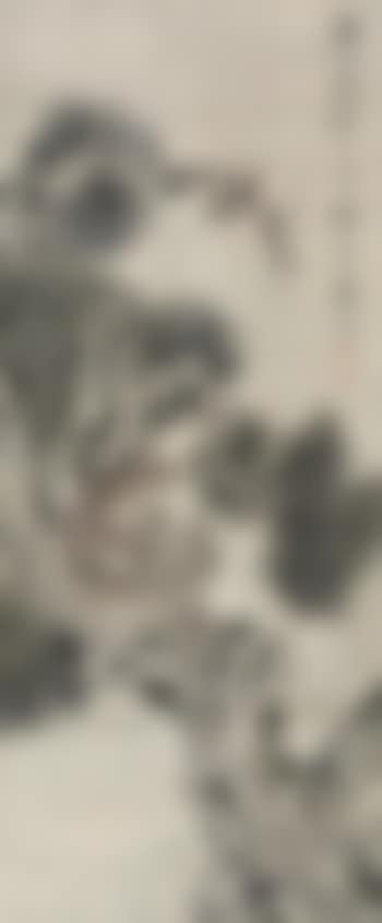 Monkey and Pine (preview)