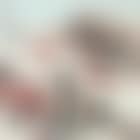 Landscape (preview)