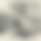 Landscape (preview)