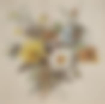 Bouquet de fleur (preview)