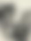 Landscape (preview)