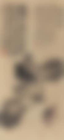 [Untitled] (preview)