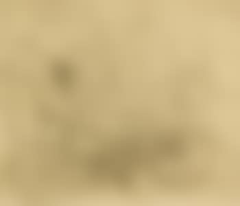 Fauno (preview)