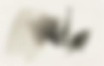 Mont. 60 Zwei (preview)