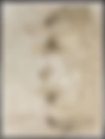 Reliktbild (immagine reliquia) (preview)