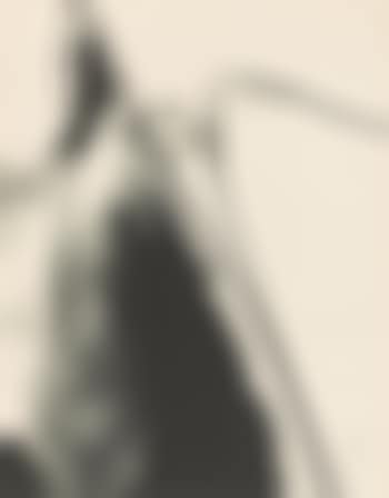 Ohne Titel (preview)