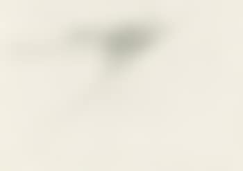 Ohne Titel (preview)