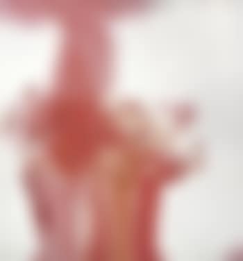 Reliktbild (preview)