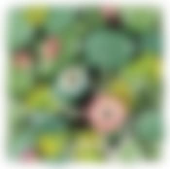 Ricci e spiaggetta verde (preview)