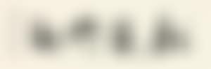 [Untitled] (preview)