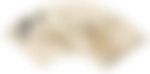 [Untitled] (preview)