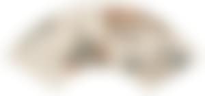 [Untitled] (preview)