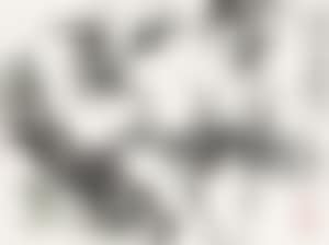 [Untitled] (preview)