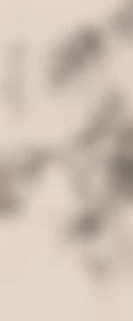 [Untitled] (preview)