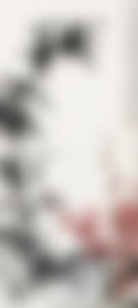 [Untitled] (preview)