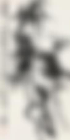 [Untitled] (preview)