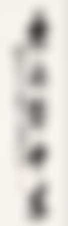 [Untitled] (preview)