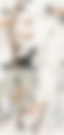 [Untitled] (preview)