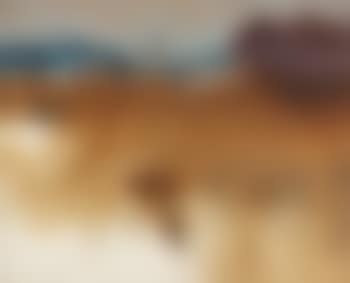 Fox Hunt With Dogs (preview)
