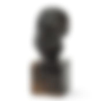 Small Head Of Man With Broken Nose (preview)