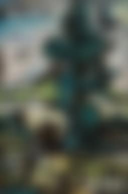 Untitled (preview)
