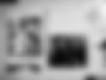 Portrait of June Leaf (preview)