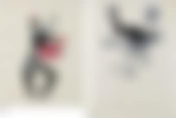 Untitled; Untitled (preview)