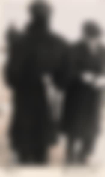 Tulip/Paris (preview)