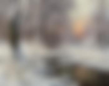 Winter Landscape (preview)