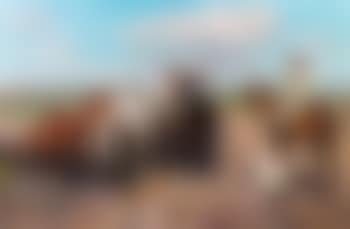 Les chevaux (preview)
