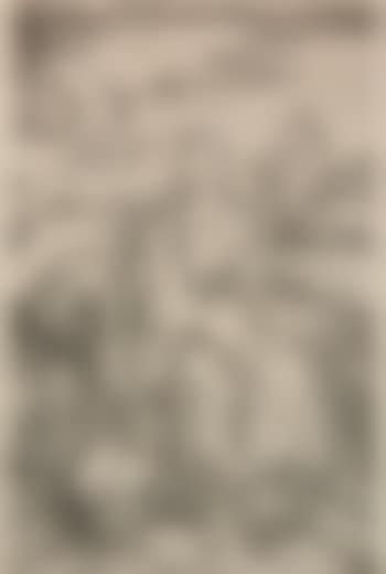 Virgin and child with the monkey (Bartsch 42) (preview)