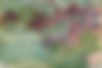 Landschaft auf der Oschwand (preview)