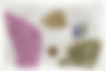 21277 (preview)
