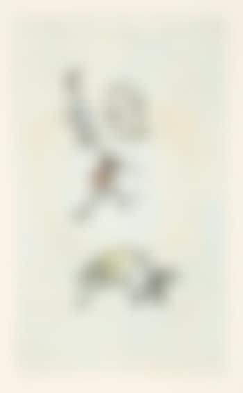 Ohne Titel (preview)