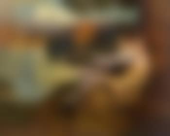 Autumn Song (preview)