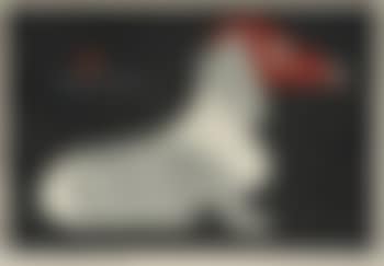 Dachshund. Competition for charm (preview)