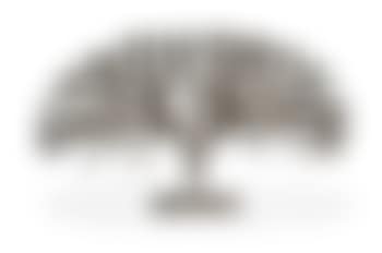 Bush (preview)