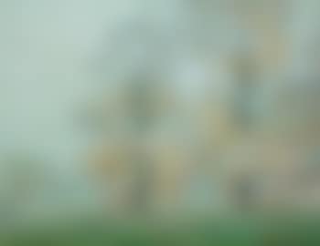 Autumn Mist (preview)