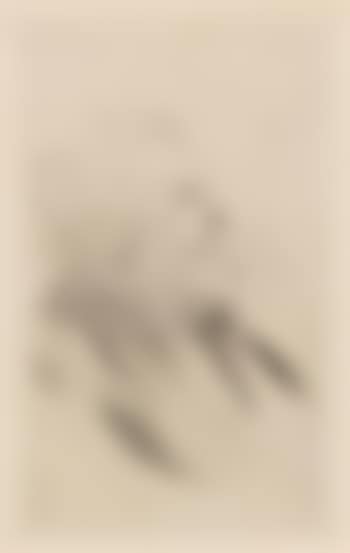 Charles Maurin (preview)