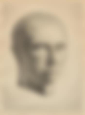 Self portrait (preview)