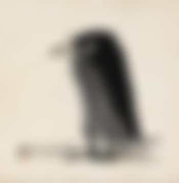A Bird (preview)