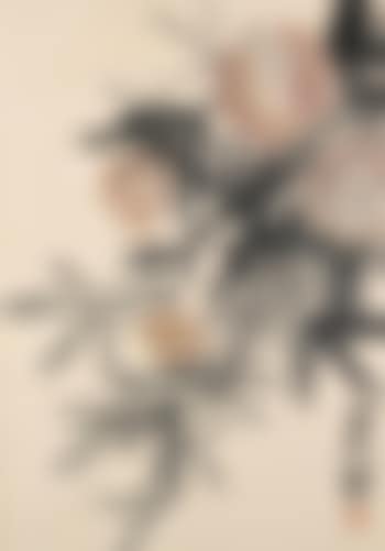 Branch of fruiting Pomegranate (preview)