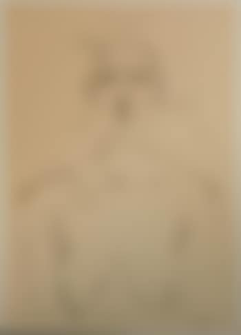 Torso (preview)