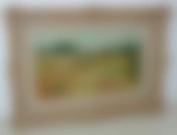 Sommerlandschaft (preview)