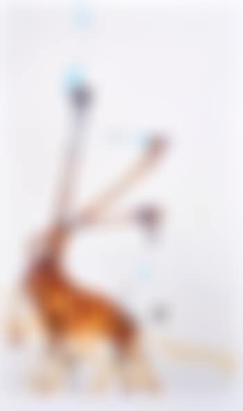Giraffes at Mt Kenya II (preview)
